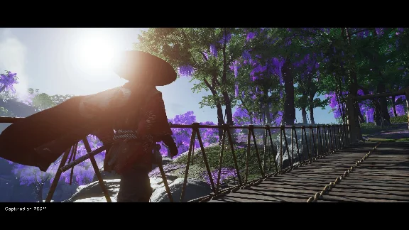 Ghost of Tsushima DIRECTORS CUT PS4/PS5 | П2/П3