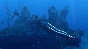 ⚫Tomb Raider: Underworld Steam Ключ РФ+Мир +Бонус