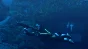 ⚫Tomb Raider: Underworld Steam Ключ РФ+Мир +Бонус