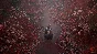 SILENT HILL f + DELUX XBOX+PC
