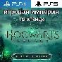 Hogwarts Legacy Deluxe PS4|PS5 P2 Rent from 10 days