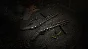 Hunt: Showdown 1896 – Fear The Reaper DLC STEAM РОССИЯ
