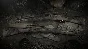 Hunt: Showdown 1896 - The Prescient Night STEAM РОССИЯ