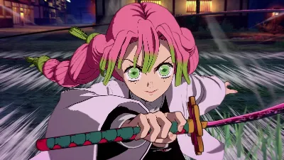 DEMON SLAYER -KIMETSU NO YAIBA- THE HINOKAMI CHRONICLES