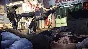 🔑  SLEEPING DOGS DEFINITIVE EDITION 🔥 XBOX  KEY
