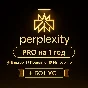 Perplexity AI | 1 год | АВТО | СРАЗУ⚡️