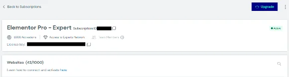 ✅ Лицензия Elementor Pro на 1 год Оригинал