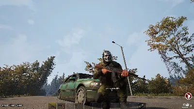 Deadside АВТОДОСТАВКА STEAM РОССИЯ