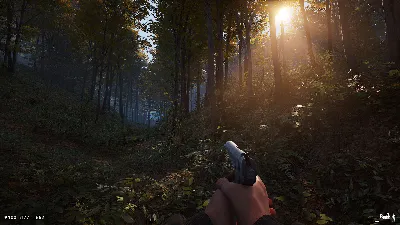 Deadside АВТОДОСТАВКА STEAM РОССИЯ
