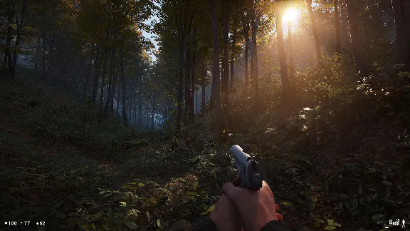 Deadside АВТОДОСТАВКА STEAM РОССИЯ
