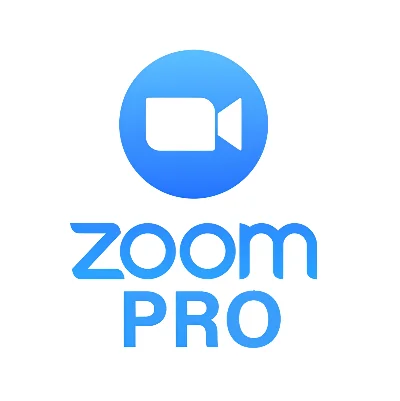 Подписка Zoom Workplace Pro на 1–12 месяцев