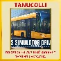 Bus Simulator Driver 2024 ... PS4/PS5/PS Turkey/Ukraine