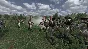 Mount & Blade: Warband - Napoleonic Wars DLC STEAM