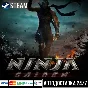 NINJA GAIDEN: Ragebound СТИМ Steam Gift