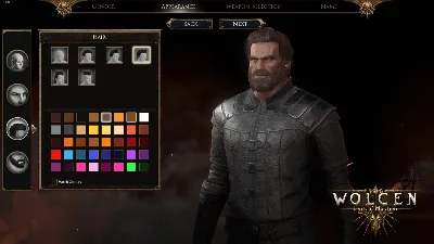 Wolcen: Lords of Mayhem СТИМ Steam Gift