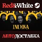 INDIKA * STEAM RU*KZ*UA*СНГ🔥АВТОДОСТАВКА