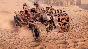 Crossout — Biter Starter Pack DLC STEAM GIFT РОССИЯ