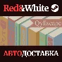 Qyllscape * STEAM RUSSIA🔥AUTODELIVERY