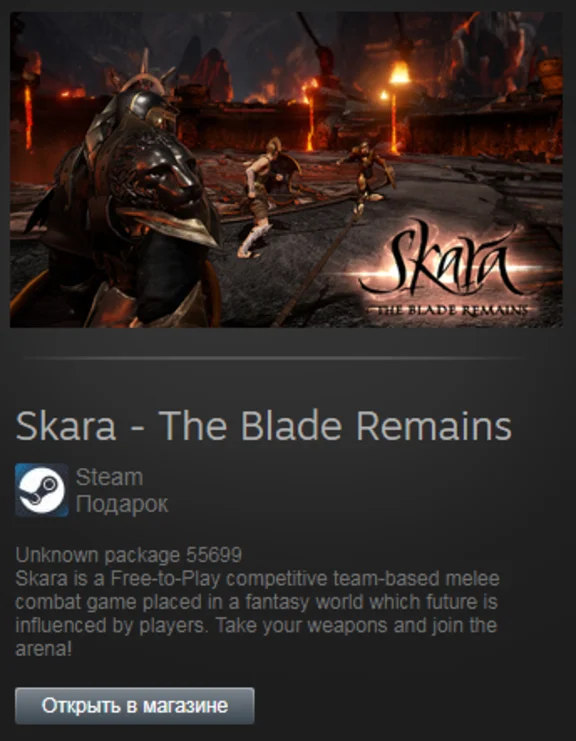 Skara - The Blade Remains (Steam Gift Region Free /ROW)