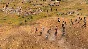 Age of Empires IV: Dynasties of the East Windows PC KEY