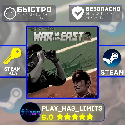 🔑Gary Grigsby´s War in the East 2 STEAM Global + РФ