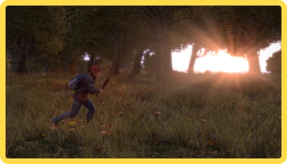 DayZ ⚡new accounts FULL ACCESS + EMAIL (Region Free)