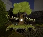 Ключ Vintage Story
