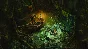 ⭐️ Call of Cthulhu Steam Gift ✅ AUTO 🚛 ALL REGIONS CIS