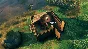 🪓 Valheim Steam Gift ✅ АВТОДОСТАВКА 🚛 ВСЕ РЕГИОНЫ ⭐️