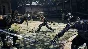 NINJA GAIDEN 2 Black XBOX На Любой Регион