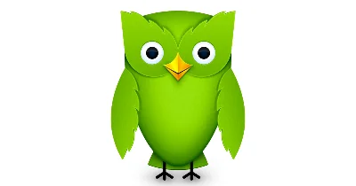 Приглашение на DUOLINGO SUPER/MAX на один год