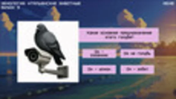 MEMOLOGY: ITALIAN BRAINROT (STEAM KEY/REGION FREE)