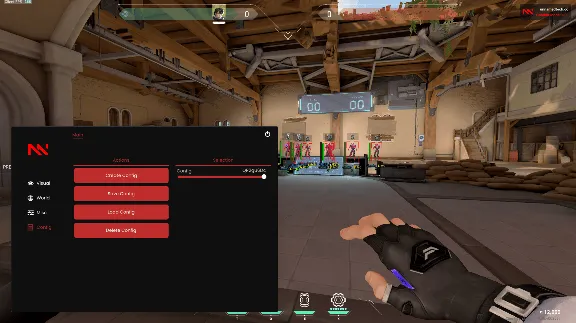 Unnamed Working Cheat for Valorant Game