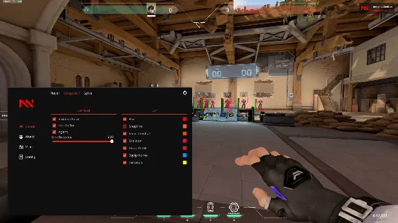 Unnamed Working Cheat for Valorant Game