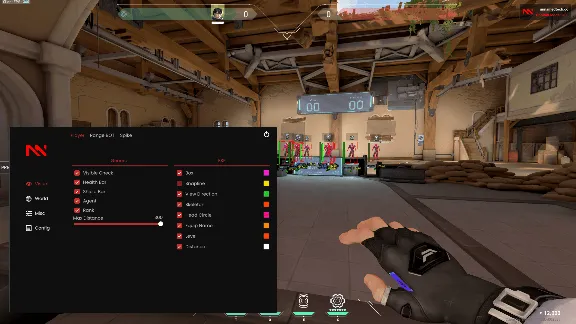 Unnamed Working Cheat for Valorant Game