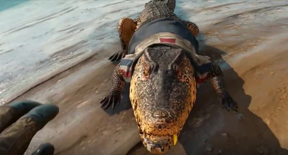 ❤️Far Cry 6 +  Far Cry New Dawn /XBOX ONE, Series X|S