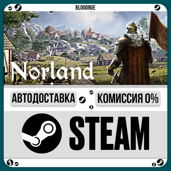 Norland⚡️•РУ +МИР / STEAM АВТО, 0%