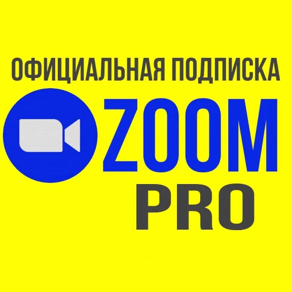 Zoom One Pro/Business 1-12 месяцев