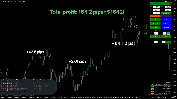 ВЫСОКАЯ ТОЧНОСТЬ - THUNDER PRO TRADING SOFTWARE MT4