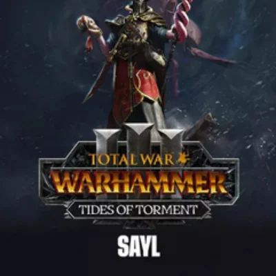 Aislinn/Dechala/Sayl Tides of Torment Steam Ключ Выбор