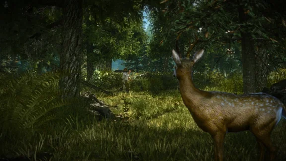 Ведьмак 2 XBOX The Witcher 2 XBOX На Любой Регион