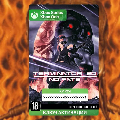 КЛЮЧ | TERMINATOR 2D: NO FATE (Xbox)