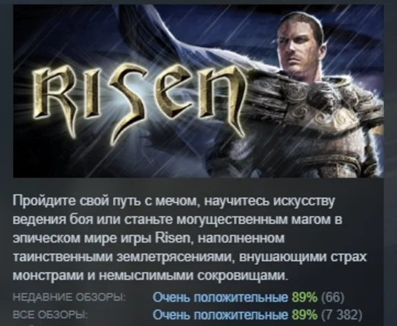 Risen АВТОДОСТАВКА STEAM GIFT РОССИЯ