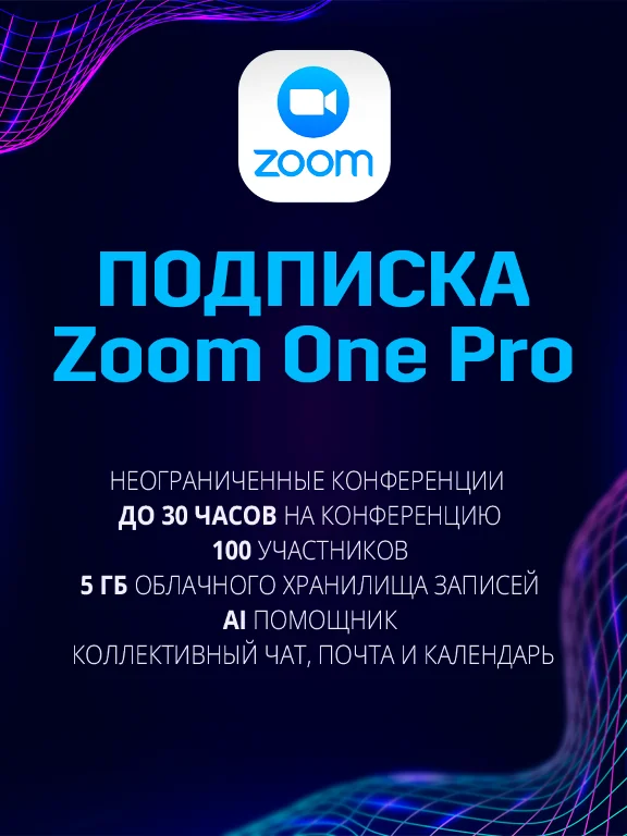Zoom One Pro Подписка