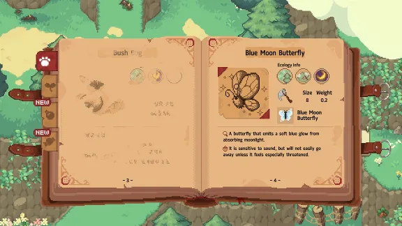 ✅ Little Witch in the Woods (Game Preview) Xbox