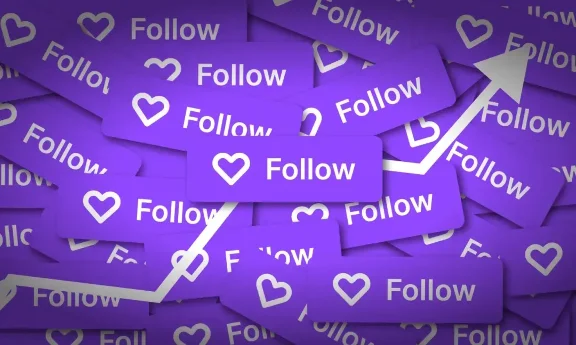 Twitch Followers \ Твич Фолловеры \ Настройки + Подарок