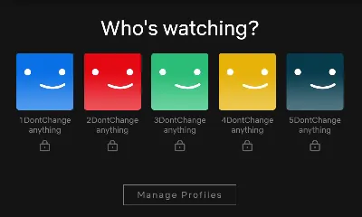 Netflix PRIVATE PROFILE 1-МЕСЯЦ-4K Premium