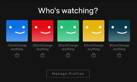 Netflix PRIVATE PROFILE 1-МЕСЯЦ-4K Premium