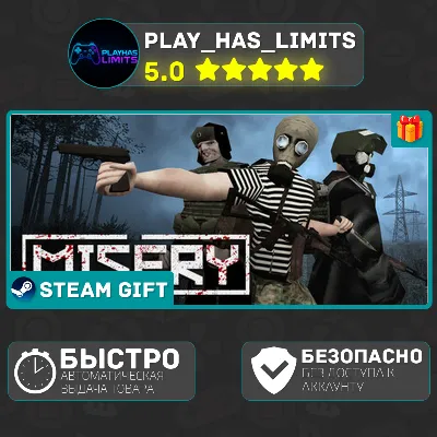 🎁MISERY *RU/BY/UA/CIS Steam Auto