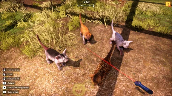 Animal Shelter 2 СТИМ Steam Gift